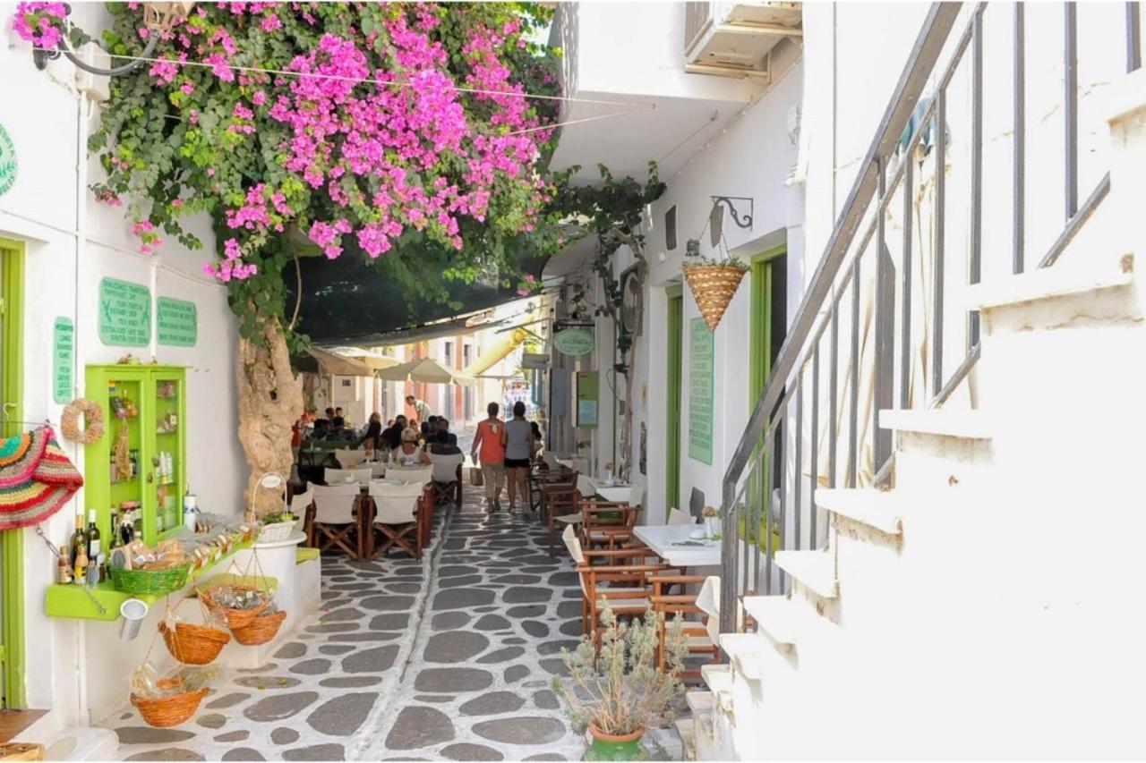 Livadia Seaside Studios 10 Páros Exteriör bild
